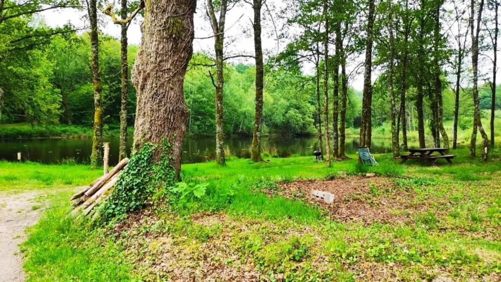 Cap Nature - T3 Et T4 En Perigord Vert - Ideal Pros Et Groupes Max 18P Champniers-et-Reilhac Exterior photo